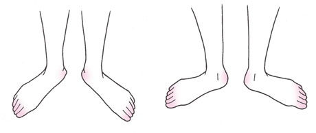 1172C238CE3A9D2019F401