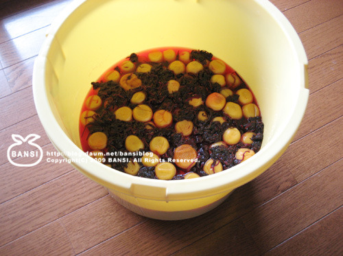NEW 코디 올리고, 5만원 상품권 받기